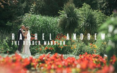gender reveal wedding